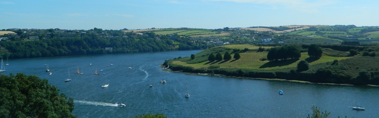 P17 NW42 - Kinsale Harbour from Compass Hill