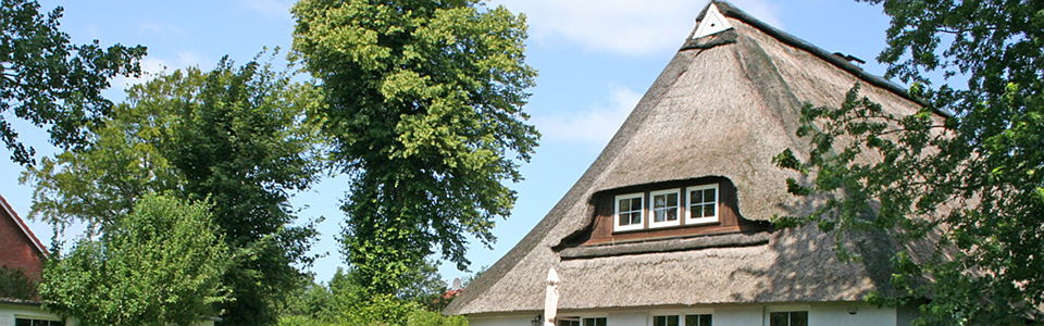 Immobilien In Kiel Ihr Immobilienmakler Engel Volkers