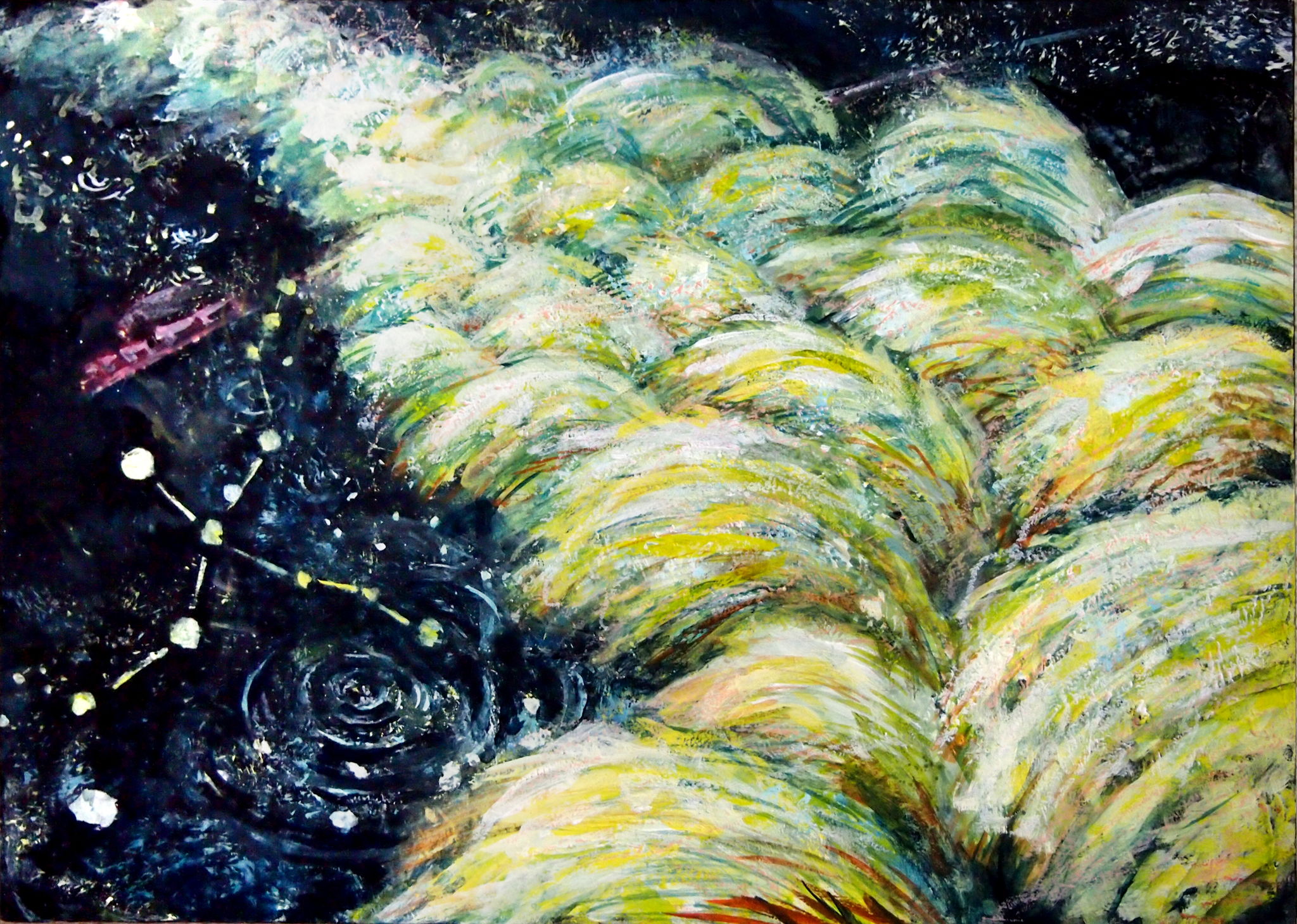 メダカ銀河をゆく/手塚 いのちの童話: カズ