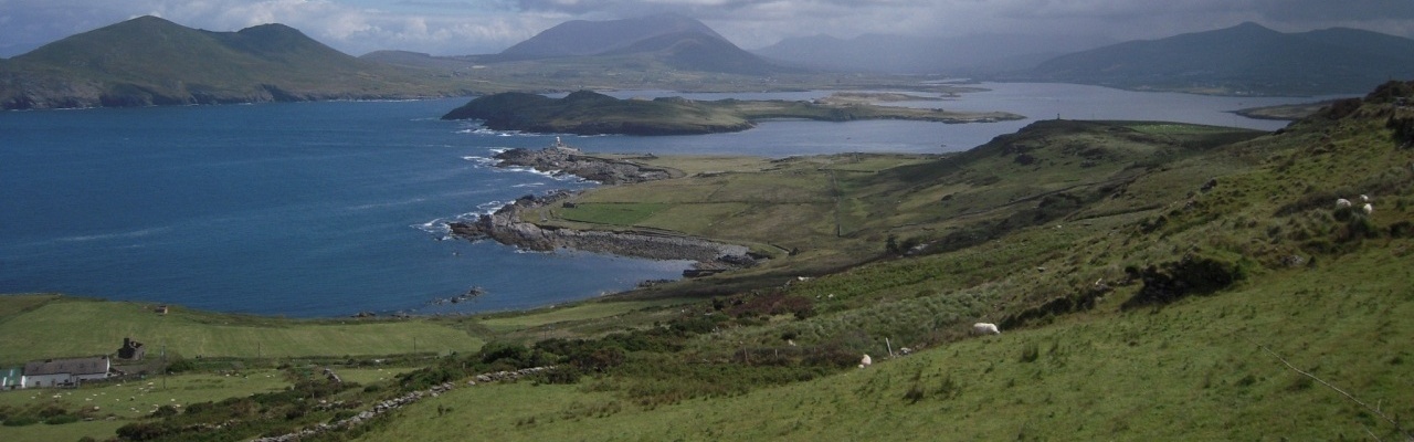 Real Estate Agents Auctioneers Kinsale West Cork Kerry Coastal Ireland