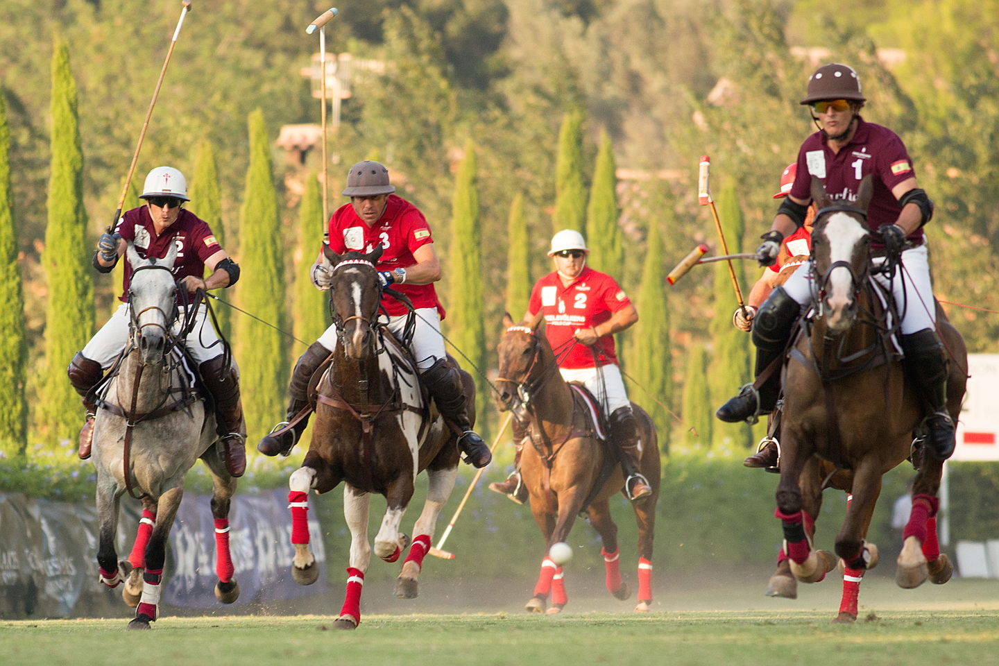  Gent
- polo-cup-action.jpg