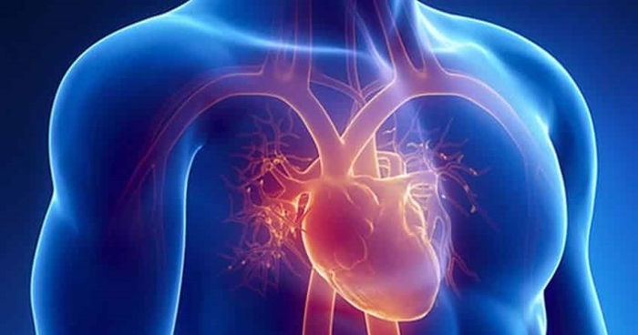 Kalp Ritim Bozukluğu Nedenleri ve Tedavisi