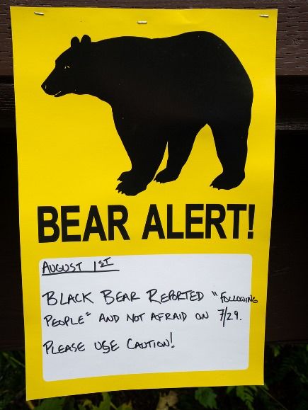 Bear Alert Alaska