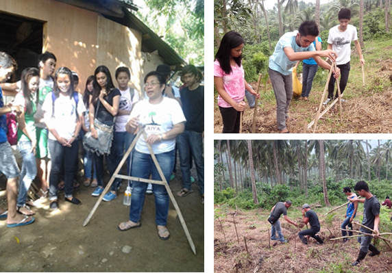 Extension and Training Services: Institute of Agricultural Engineering ...