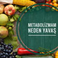 Metabolizmam Neden Yavaş?