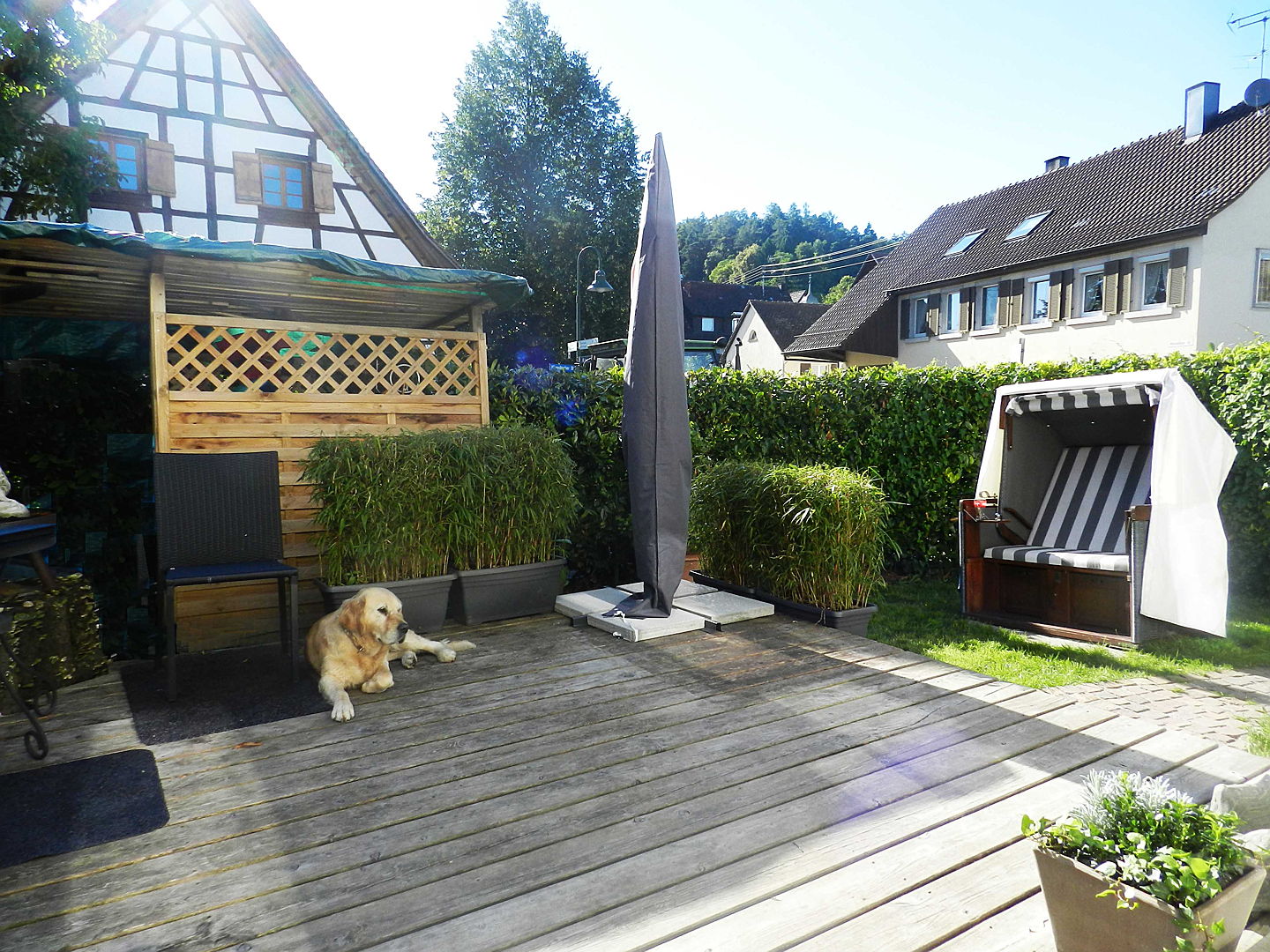  Konstanz
- Terrasse mit Hund.jpg