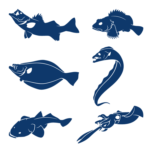 魚 ステッカー  田中恵司  AWRD